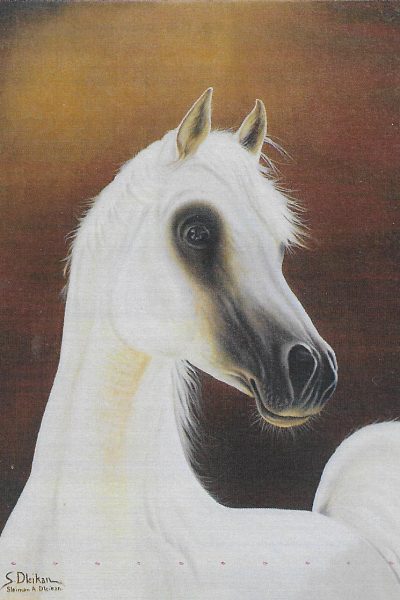 Sleiman-Dleikan-white-arabian-horse