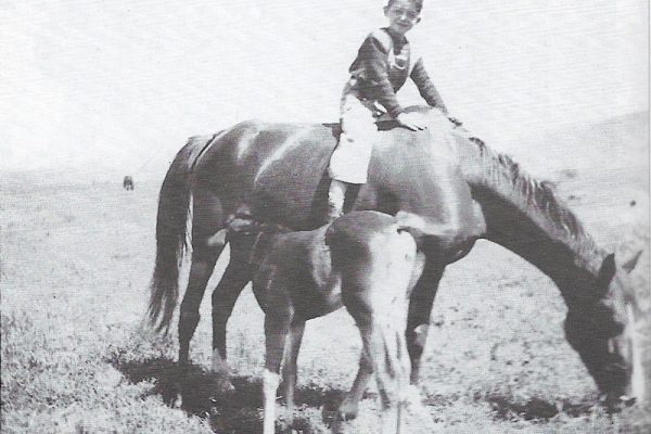 faisal-arslan-on-horse