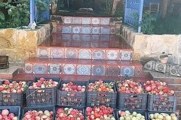 pomegranates at sami makarem cultural center aytat