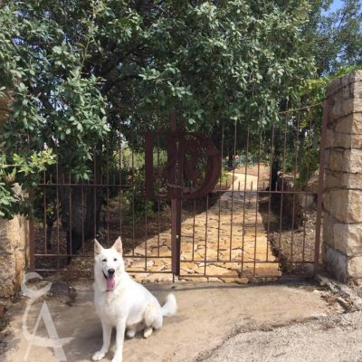 entrance to iris domain vineyards btalloun aley